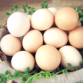 供应优质土鸡蛋